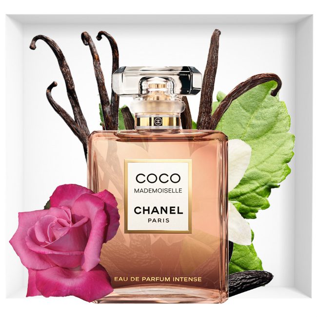  Đánh Giá Nước Hoa Chanel Coco Mademoiselle Intense 