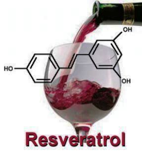 resveratrol picture 1