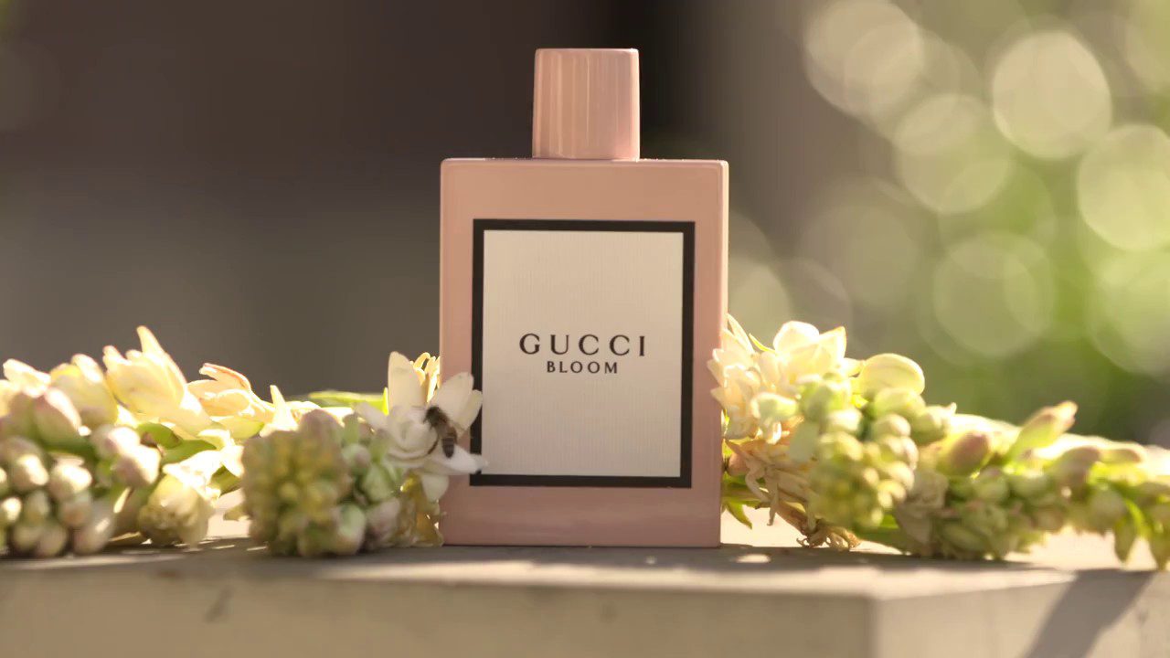 Review/ Đánh Giá Nước Hoa Gucci Bloom Nữ