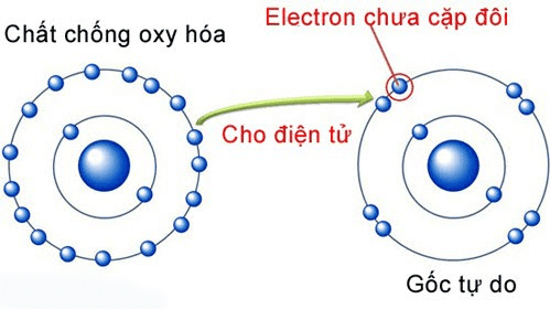 chong oxi hoa