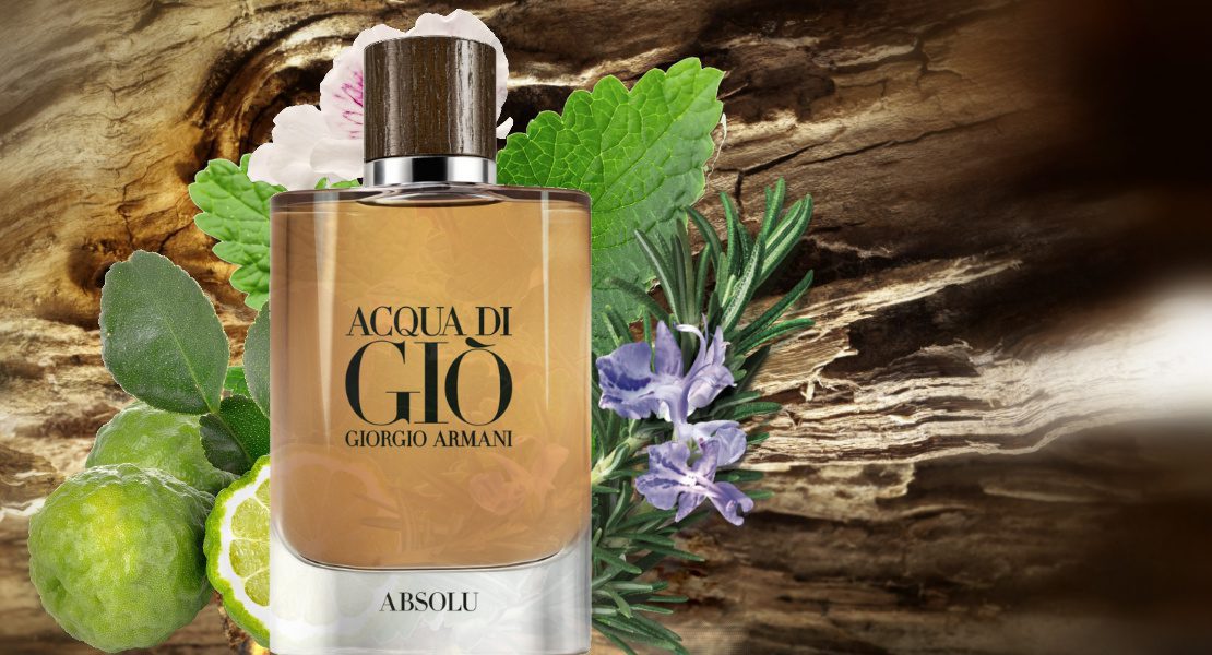 acqua di gio absolu review