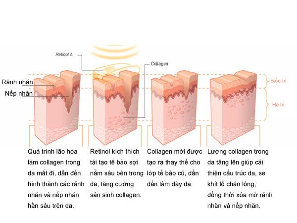 công dụng retinol