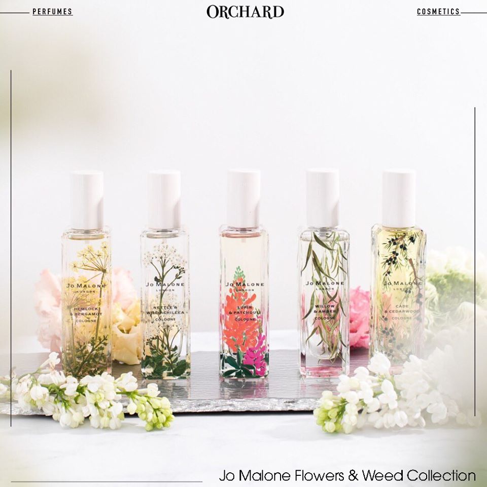 Mãn Nhãn Với Bộ Sưu Tập Nước Hoa Jo Malone Flowers & Weed