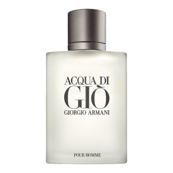 giorgio armani acqua di gio pour homme 1