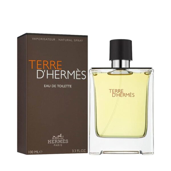 hermes terre dhermes edt 2