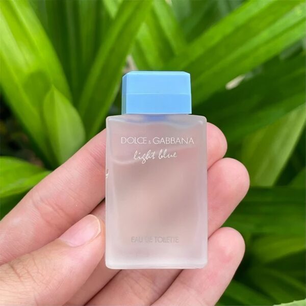 dolce and gabbana light blue edt mini 4 5ml 4