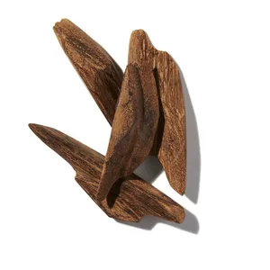 Gỗ Trầm Hương (Agarwood - Oud)