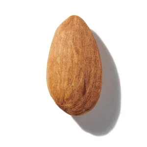 Hạnh Nhân (Almond)