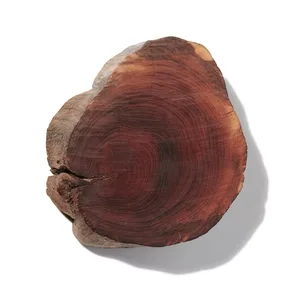 Amber Wood (Gỗ Hổ Phách)