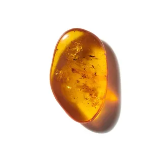 Amber (Hổ Phách)