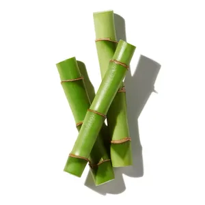 Cây Tre (Bamboo)