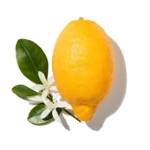 Bergamot (Cam Bergamot)