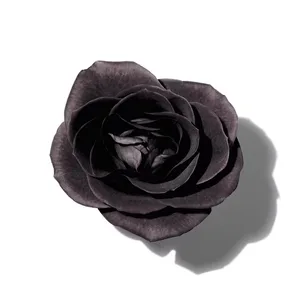 Hoa Hồng Đen (Black Rose)