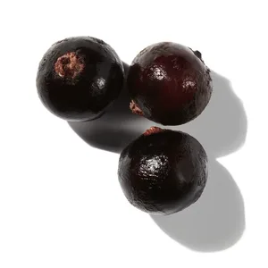 Quả Lý Chua Đen (Black Currant)