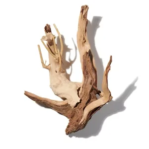 Gỗ Dạt (Driftwood)