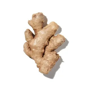 Gừng (Ginger)