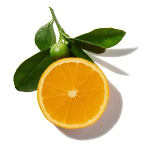 Quýt Xanh (Green Mandarin)