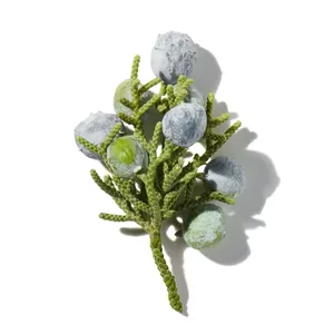 Quả Bách Xù (Juniper Berries)