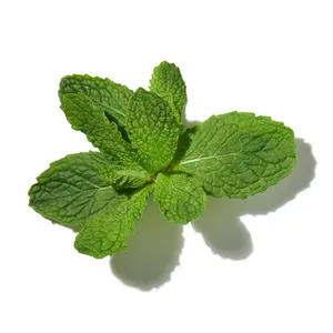 Mint (Bạc Hà)