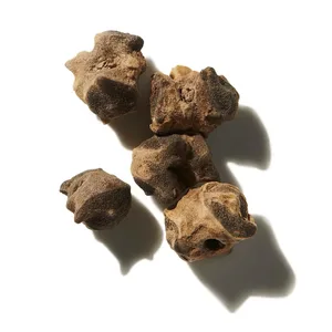 Musk Seed (Hạt Xạ Hương)