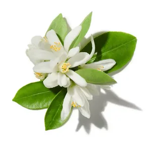 Tinh Dầu Hoa Cam (Neroli)