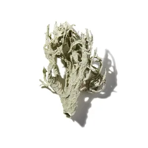 Oakmoss (Rêu Sồi)