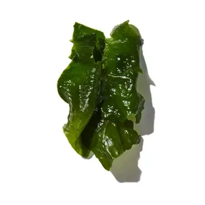 Tảo Biển (Seaweed)