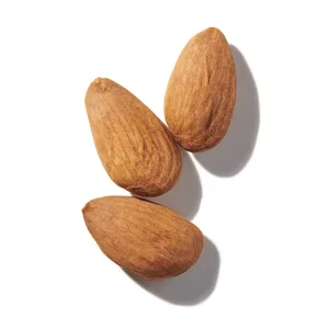 Sweet Almond (Hạnh Nhân Ngọt)