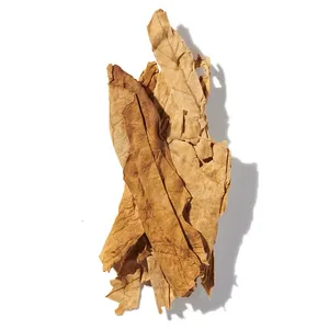 Tobacco Leaf (Lá Thuốc Lá)