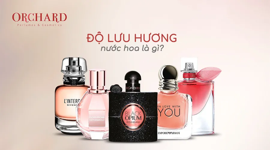 Độ lưu hương nước hoa – Bí quyết giữ hương thơm lâu trên cơ thể