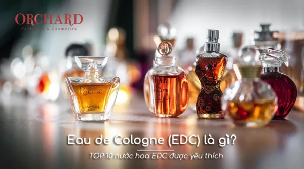 Nước hoa Eau de Cologne (EDC) là gì? TOP 10 nước hoa EDC được yêu thích