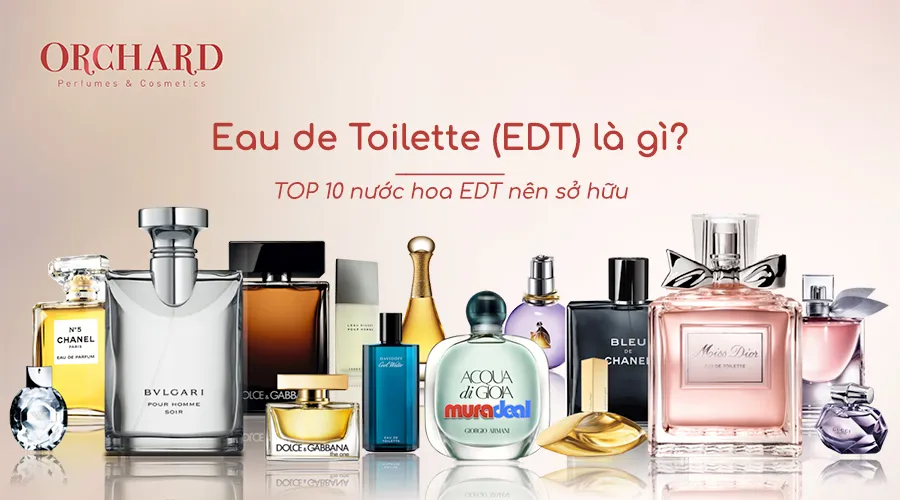 Nước hoa Eau de Toilette (EDT) là gì? TOP 10 nước hoa 10 nên sở hữu