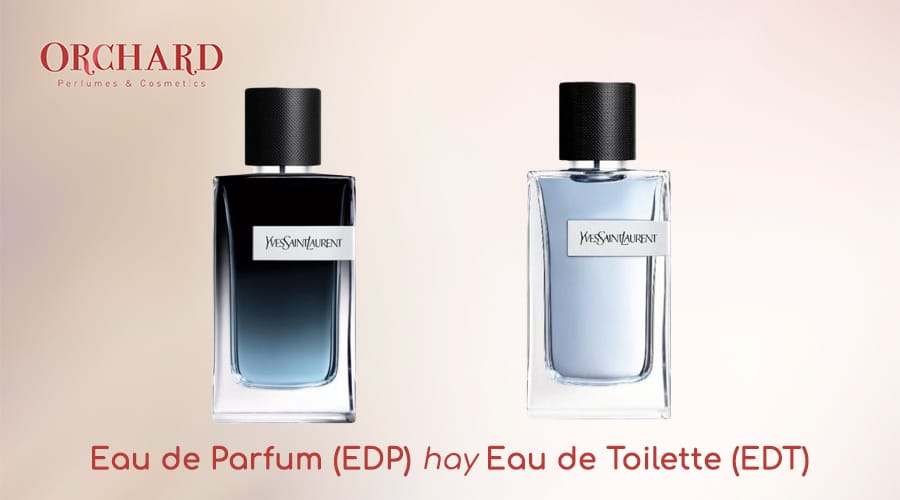 Nước hoa EDT và EDP: Sự khác biệt tinh tế nhưng đầy mê hoặc