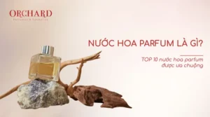 Nước hoa Parfum là gì? TOP 10 nước hoa Parfum được ưa chuộng