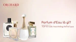 Nước hoa Parfum d’Eau là gì? TOP 5 nước hoa đáng để sở hữu