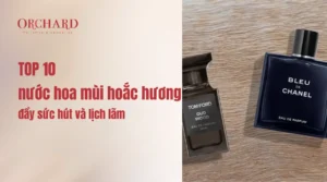 TOP 10 nước hoa mùi hoắc hương đầy sức hút và lịch lãm