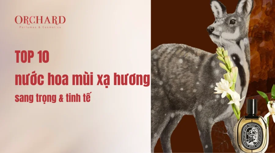 TOP 10 nước hoa mùi xạ hương sang trọng và tinh tế